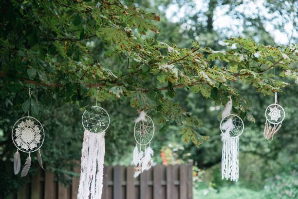 istock a bunch of white dream catchers hanging from a tree 1478178818