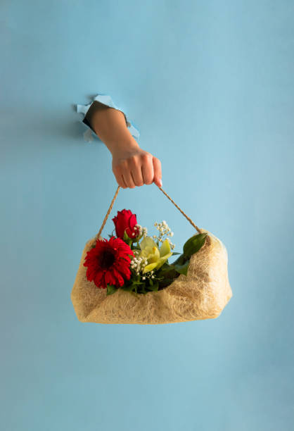 女性の手と様々な春の花で作られた創造的な花束。パステルブルーの破れた紙。母の日カード。現代の美学。 - flower sparse single flower gerbera daisy ストックフォトと画像