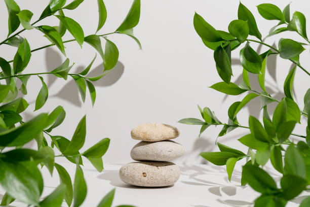 istock Empty stone podium, natural branches and green leaves with shadows on light grey background. Backdrop with balanced rocks for product presentation. Harmony and relaxation. Beauty and spa concept 1478186696