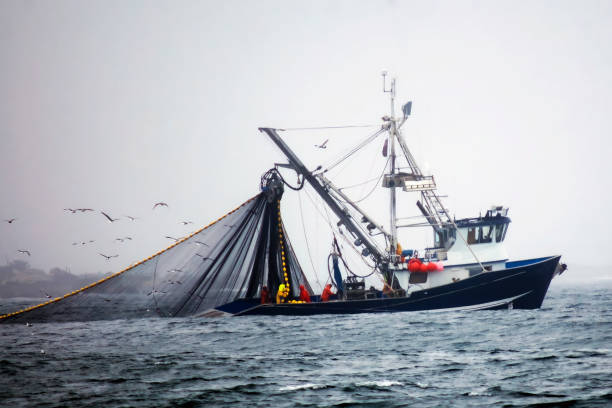 bateau de pêche avec filets déployés - industrie de la pêche photos et images de collection