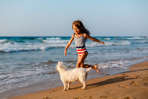 Little girl playing with her dog on the beach