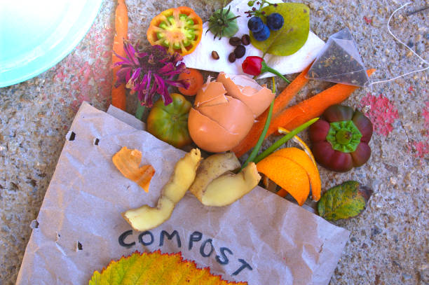 Compost prepared by decomposing plant, food waste, and recycling organic materials. Egg shells, wrapping paper, potato peels, vegetable scraps, flowers, napkins, coffee beans, grapes, used tea packets next to a blue plate. ingredientes de compost caseros preparados mediante la descomposición de plantas, desechos de alimentos y reciclaje de materiales orgánicos. cáscaras de huevo, papel de regalo, cáscaras de papa, restos de vegetales, flores, servilletas, granos de café