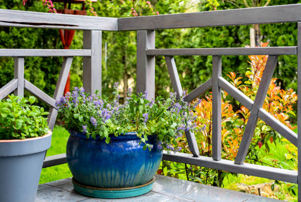 istock terrace area with a gray railing and a blue flower pot. 1478195133