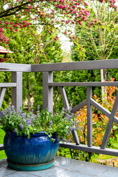 istock terrace area with a gray railing and a blue flower pot. 1478195172