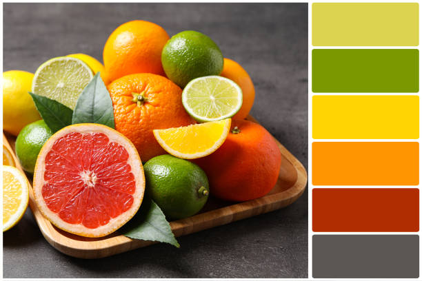 Color palette and different ripe citrus fruits on grey table. Collage