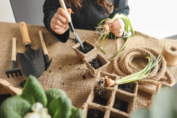 istock Girl doing gardening at home 1478196538