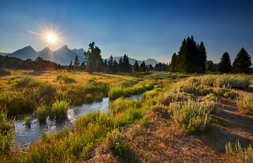 Beaver Dam area on the Snake River along the trail from Schwabacher Landing, Moose, Wyoming