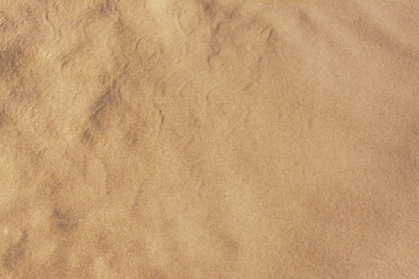 istock Texture of sandy beach as background, top view 1478199468