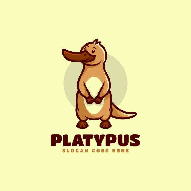 Vector Illustration Platypus Mascot Cartoon Style. Vector Illustration Platypus Mascot Cartoon Style. duck billed platypus stock illustrations