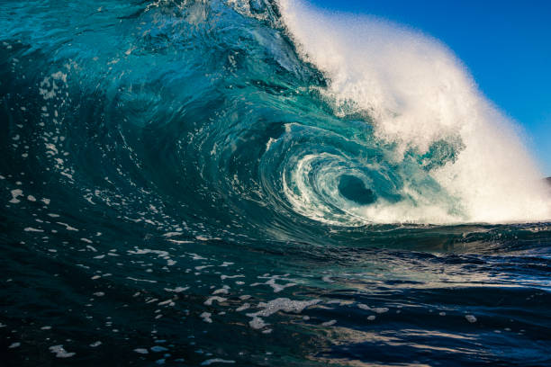 istock Blue breaking wave in the ocean with golden light 1478205537
