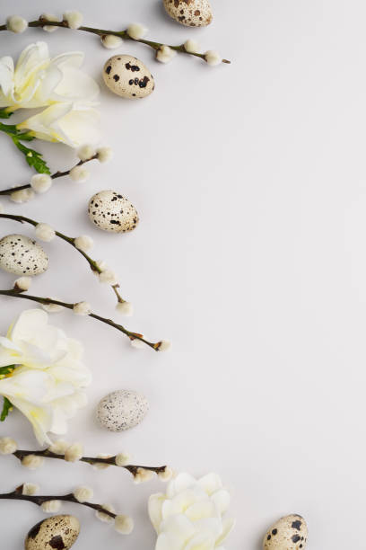 Happy Easter flat lay. Pussy willow branches, freesia flowers and natural quail eggs on light grey background. Festive composition layout. Blooming spring holiday. Eco concept. Top view, copy space. feliz pascua plana laica. ramas de sauce de coño, flores de fresia y huevos de codorniz naturales sobre fondo gris claro. diseño de composición festiva. vacaciones de primavera florecientes. concepto ecológico. vista superior, espacio de copia