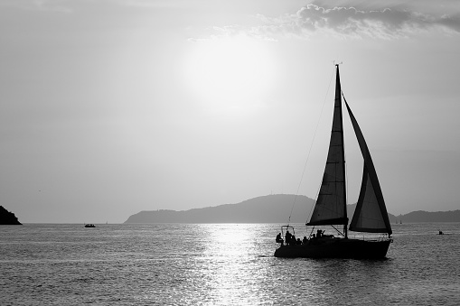Sailboat sailing in the late afternoon photographed in black and white.