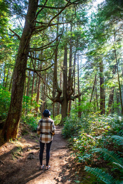 istock Woman Standing Olympic National Park La Push Beach Ruby Beach Forks Washington Large Tree 1478209043