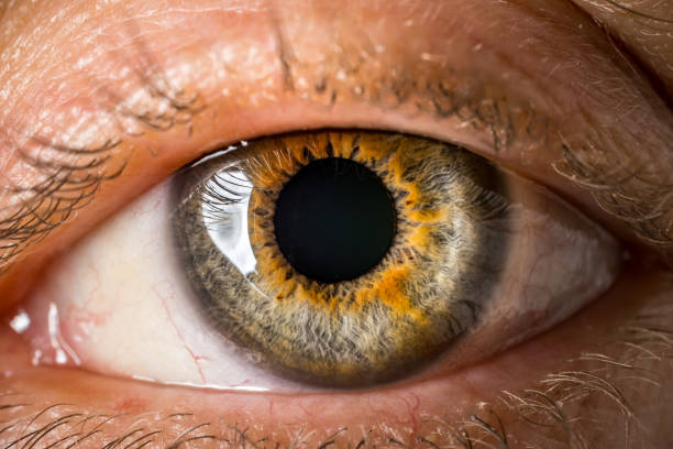 istock Close-up macro shot of green eye. 1478209488
