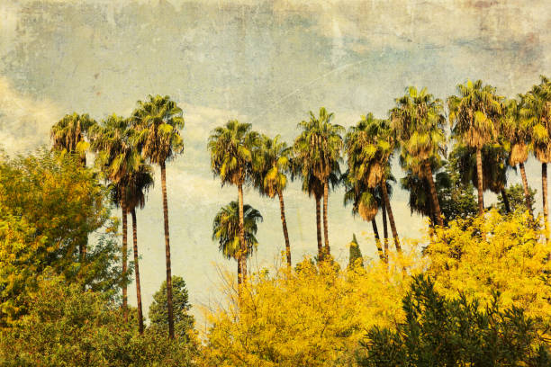 istock vintage textured picture of palm trees 1478210377