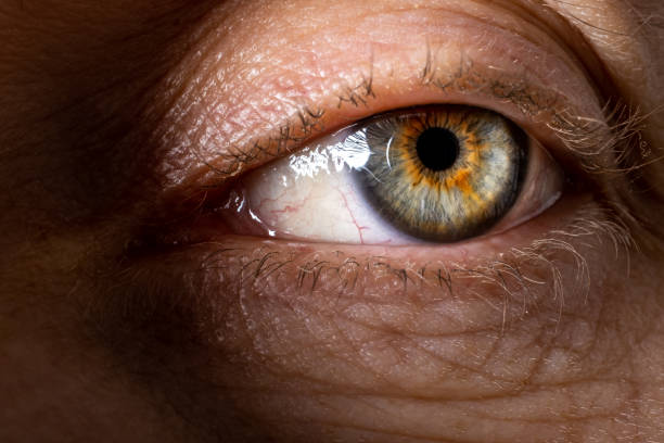 istock Close-up macro shot of green eye. 1478211229