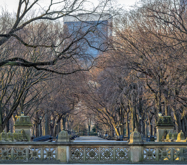 istock Central Park in winter , The Mall 1478213649