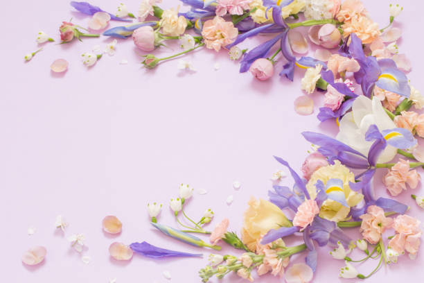 istock beautiful spring flowers on paper background 1478227695