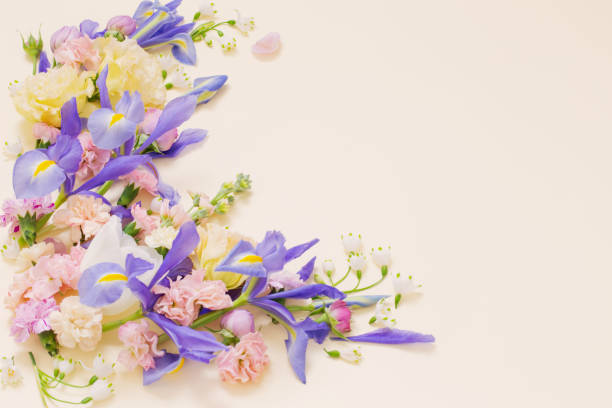istock beautiful spring flowers on pastel background 1478227704
