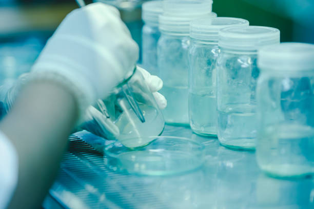 istock The scientist's hands pouring solvent into the bottles 1478227784
