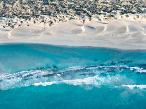 istock Aerial view of sandy beach 1478238934