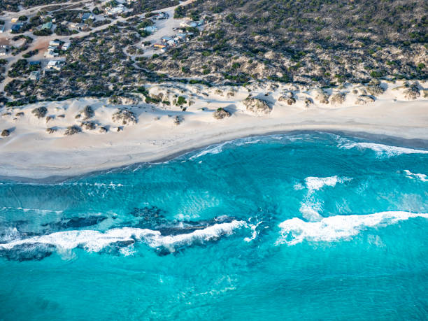 istock Aerial view of sandy beach and camp ground 1478239461