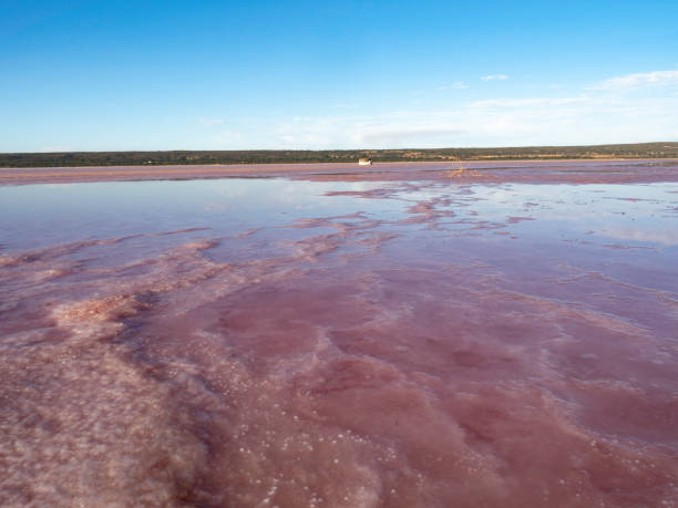 istock Pink salt lake reflections 1478239544