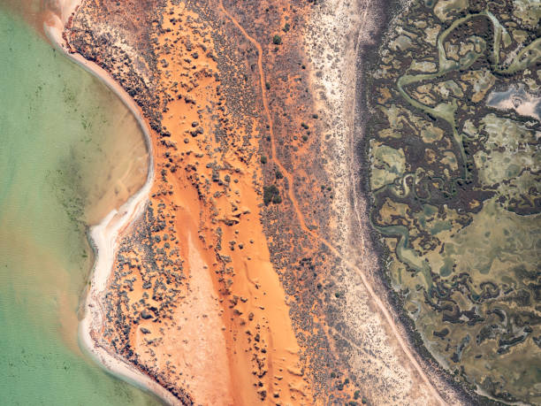 istock Aerial view of coastline 1478239548