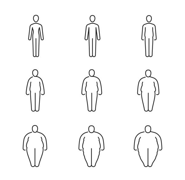 Fat body icons of human obese classification Fat body icons. Human obese classification thin line vector silhouettes. Overweight and slim man or woman person isolated figures of body mass index, healthy lose and gain weight process obesity stock illustrations