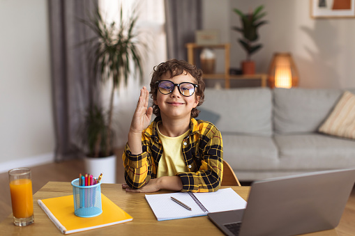 E-learning. Cute schoolboy in eyeglasses raising hand and smiling to camera, studying distantly at home interior, free space