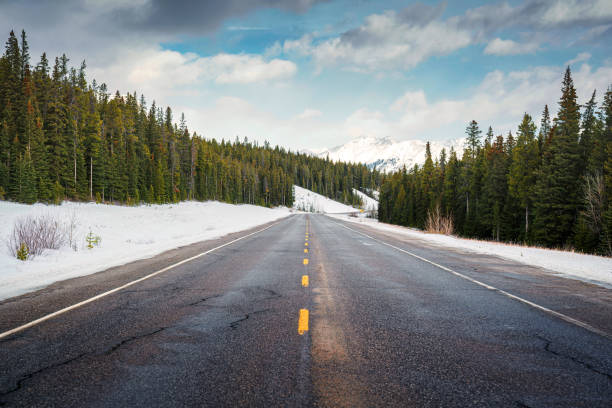 автомобильная поездка по шоссе со скалистыми горами среди соснового леса в icefields parkway - rocky mountains canada mountain winter стоковые фото и изображения