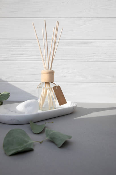 Aroma diffuser in a clear glass bottle with a wooden cap on a light wooden-concrete background and green eucalyptus leaves stock photo