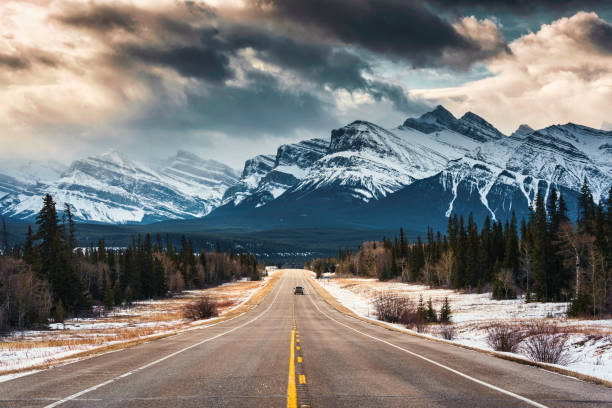 istock Road trip on highway between pine forest driving straight to rocky mountains in Icefields Parkway 1478244363