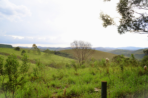 The green of the trees and mountains of Andrelândia in Minas Gerais