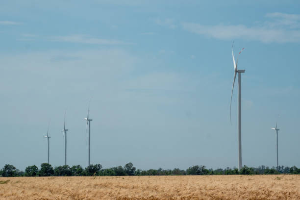 istock Wind turbines produce energy on field surrounded by trees 1478250660