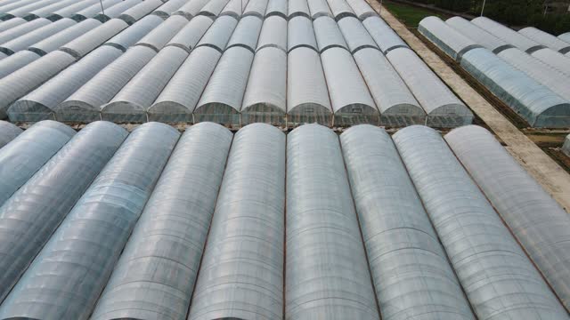 Aerial View of Greenhouse and Greenhouse in Modern Agriculture