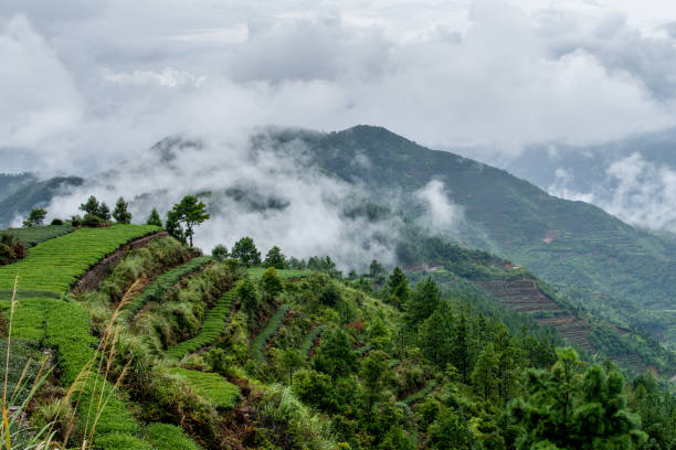 istock green mountains, terraces and white clouds 1478259182