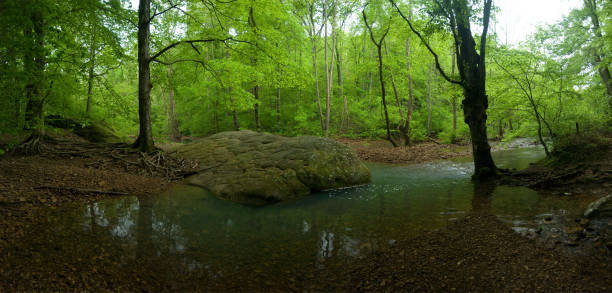 panorama des baches im südlichen illinois - shawnee national forest stock-fotos und bilder