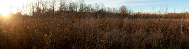 panorama von fall field im süden von illinois - shawnee national forest stock-fotos und bilder