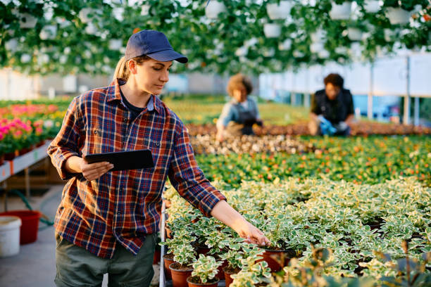 istock Female worker using touchpad while examining seedlings in a greenhouse. 1478289054