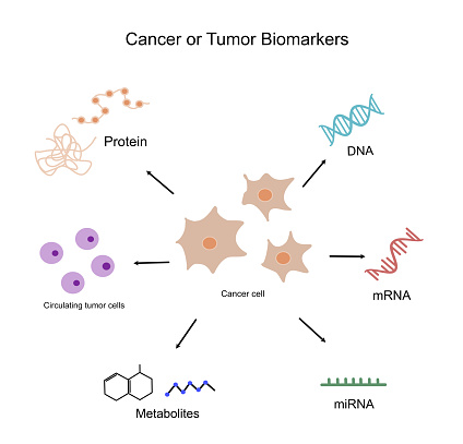The important biomarkers of cancer or tumor cells for medical diagnosis or science research: Protein, DNA, mRNA, miRNA, biological metabolites and Circulating tumor cells.