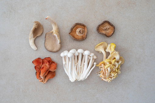 Assortment of mushrooms, portobello, chanterelles, hen of the woods, shiitake and button mushrooms shot in wooden basket on wooden cutting board.