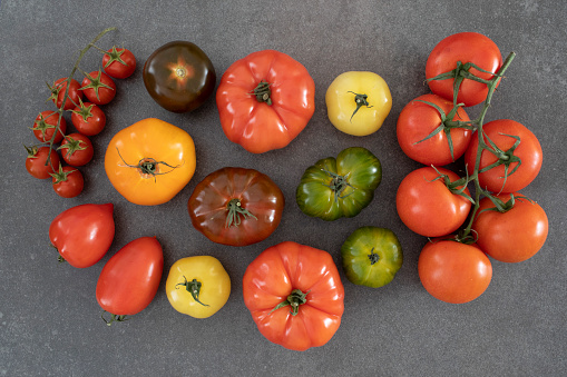 Tomatoes in different shapes, sizes and colours flat lay still life on a dark tile background
