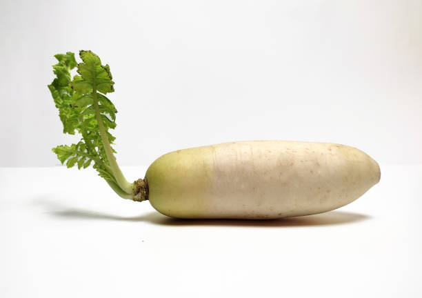 istock White Radish (Daikon) isolated in white background 1478297244