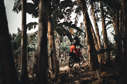 Young independent woman ride an orange dirt bike through narrow paths and dusty roads in a tropical forest, wearing full dirt bike gear and protection,  Banana Island, Hanoi