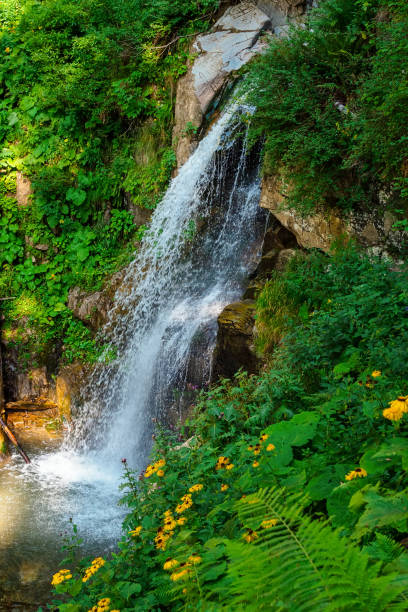 istock beautiful waterfall in the mountains in summer 1478301772