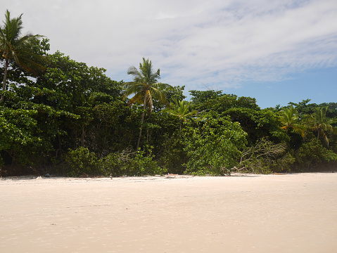 Uncrowded white sand beach with tropical vegetation