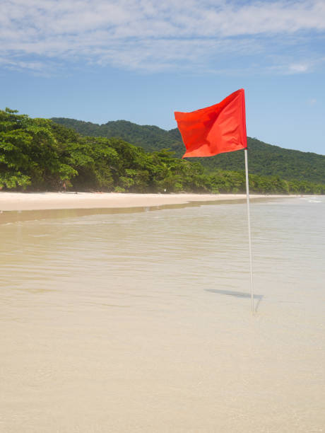 istock Red flag on a tropical island beach 1478302018