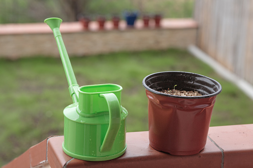House ghardening: a watering can and a plant pot, both made of plastic, sit on a windowsill opened onto a back garden.
