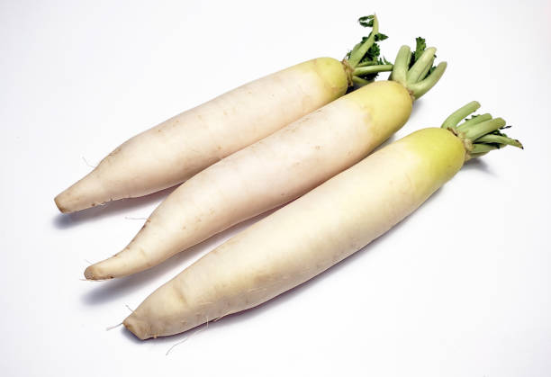 istock White Radish (Daikon) isolated in white background 1478305993